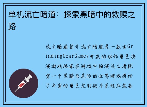 单机流亡暗道：探索黑暗中的救赎之路